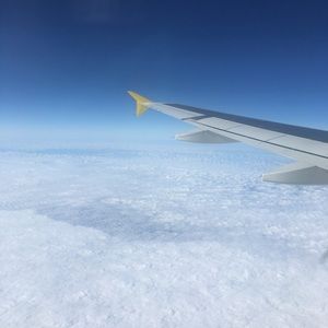 Meet your Posher, Whitney